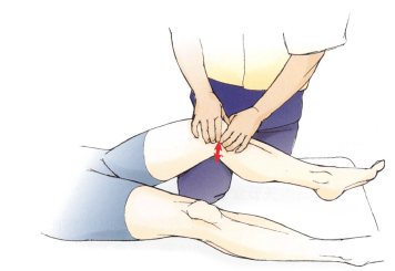 膝关节手法治疗Ⅱ