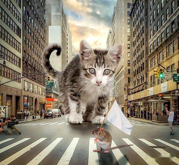 超有趣的photoshop夸张之城挑战赛作品欣赏55图