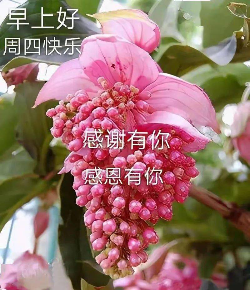 最美聊天图片22