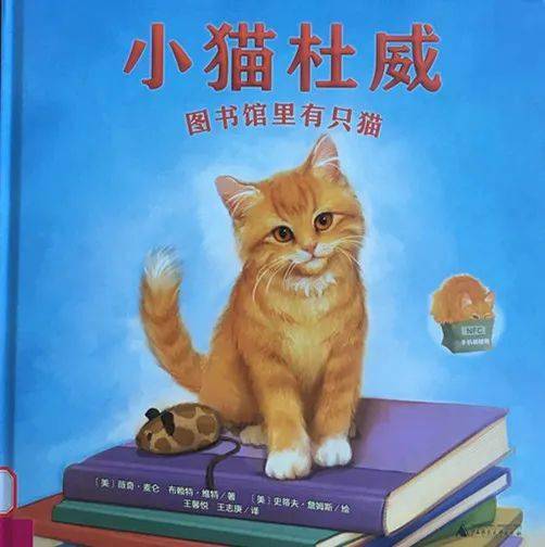 少图荐书 绘本中的萌宠 猫咪 小猫