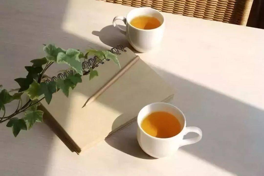 手捧書本靜坐喝茶,一種