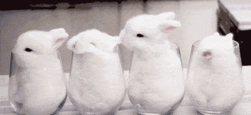 fb845a2a6db7469d8b660be60100be25.gif