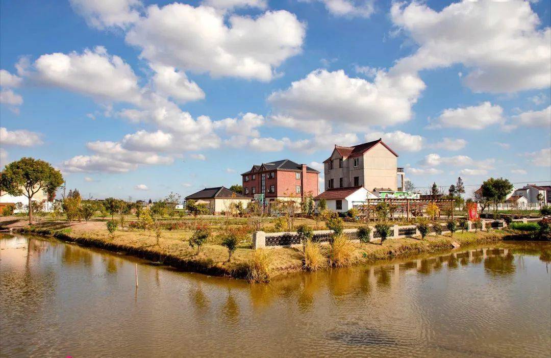 近日,四团镇渔墩村渔村1组荣获2020年度"文明之城·美在奉贤"十大最美