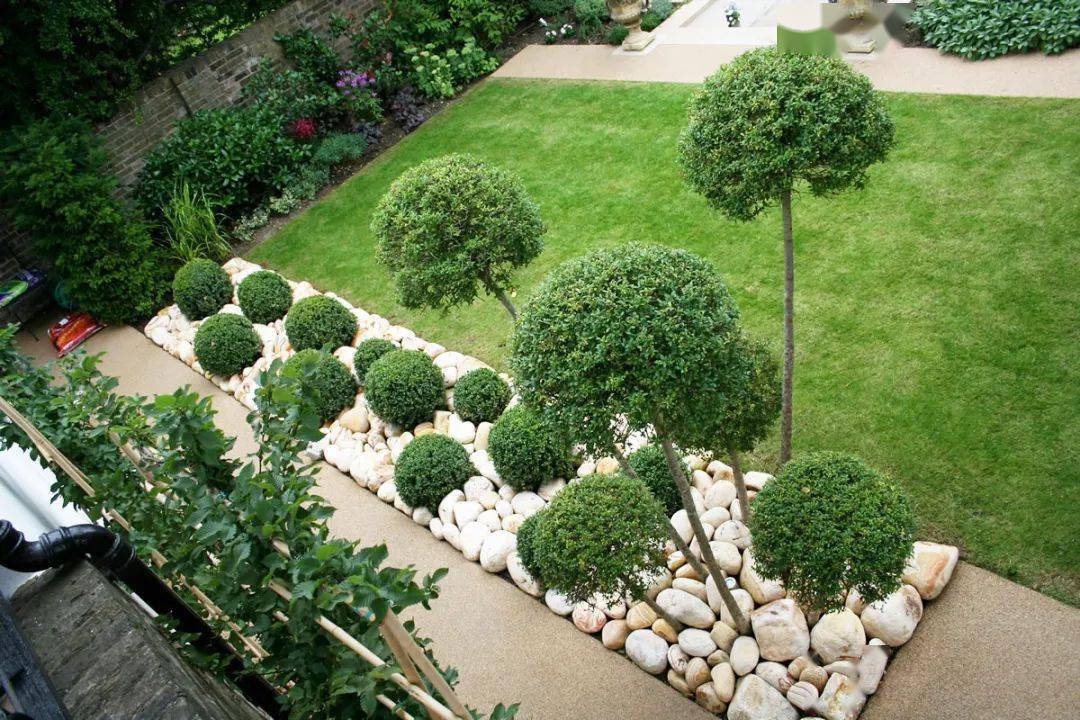 【与硬质景观搭配】如果你觉得灌木球太单调,那和一些其它植物组合