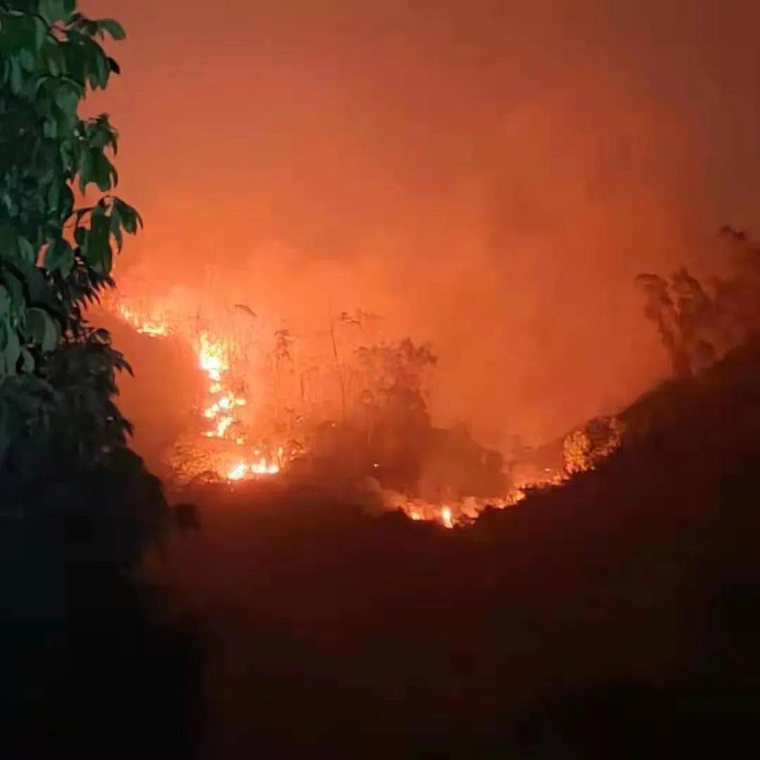 昨夜深圳南山突发山火600多人紧急救援