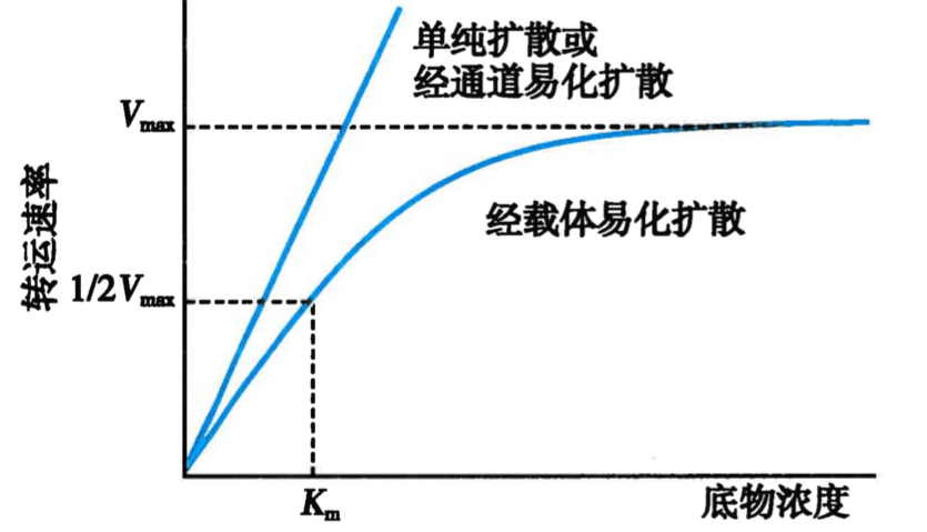 扩散速度便达到最大值,不再随底物浓度的增加而增大,这种现象称为载体