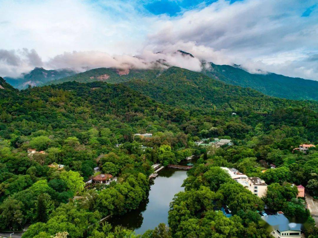 留在惠州过大年|我在罗浮山等着你!_旅游