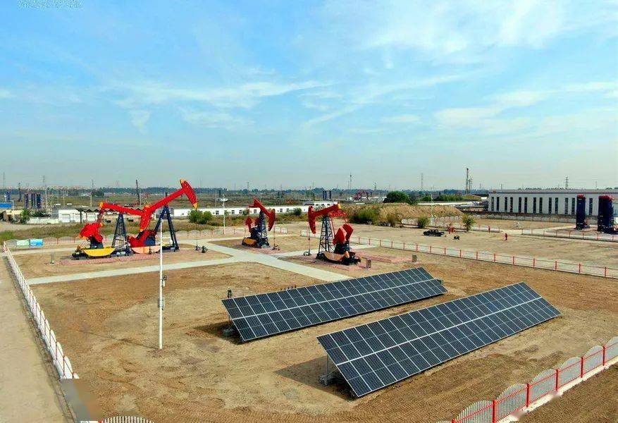 孔凡群调研东辛厂营二井区域新能源项目