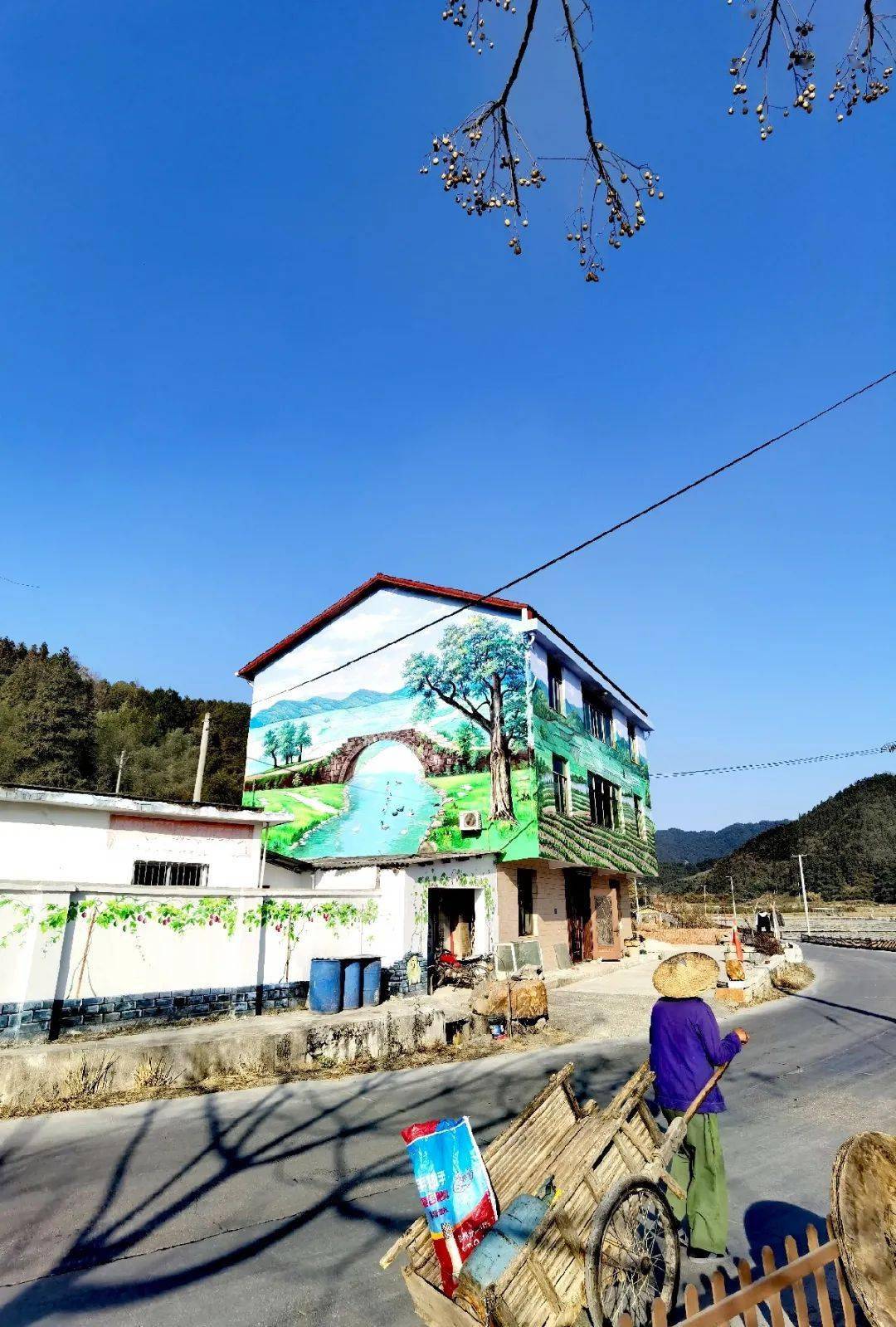 【到项目一线去】白墙灰瓦风景画,留住了小镇的记忆_改造