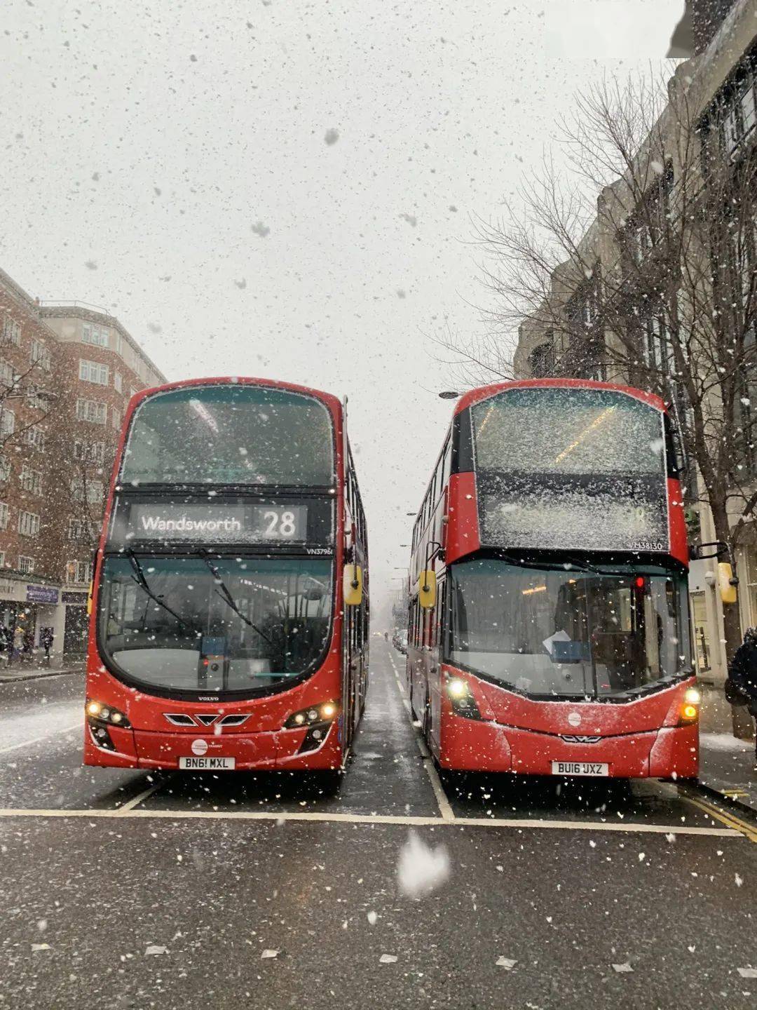 ms_mazbennett像是被皑皑白雪施了魔法在今日格外的静谧往日喧嚣的