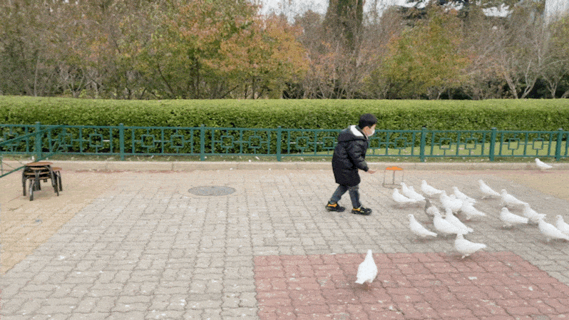 798_449gif 动态图 动图