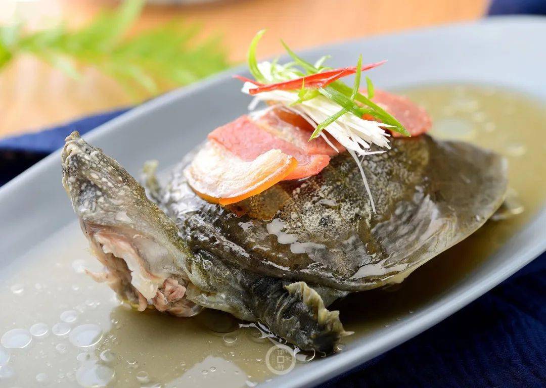 养生季节阿华甲鱼美味引来客