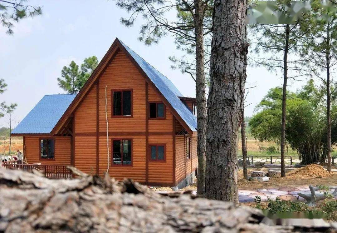 景区民宿遇到淡季这个木屋民宿淡季依然爆满