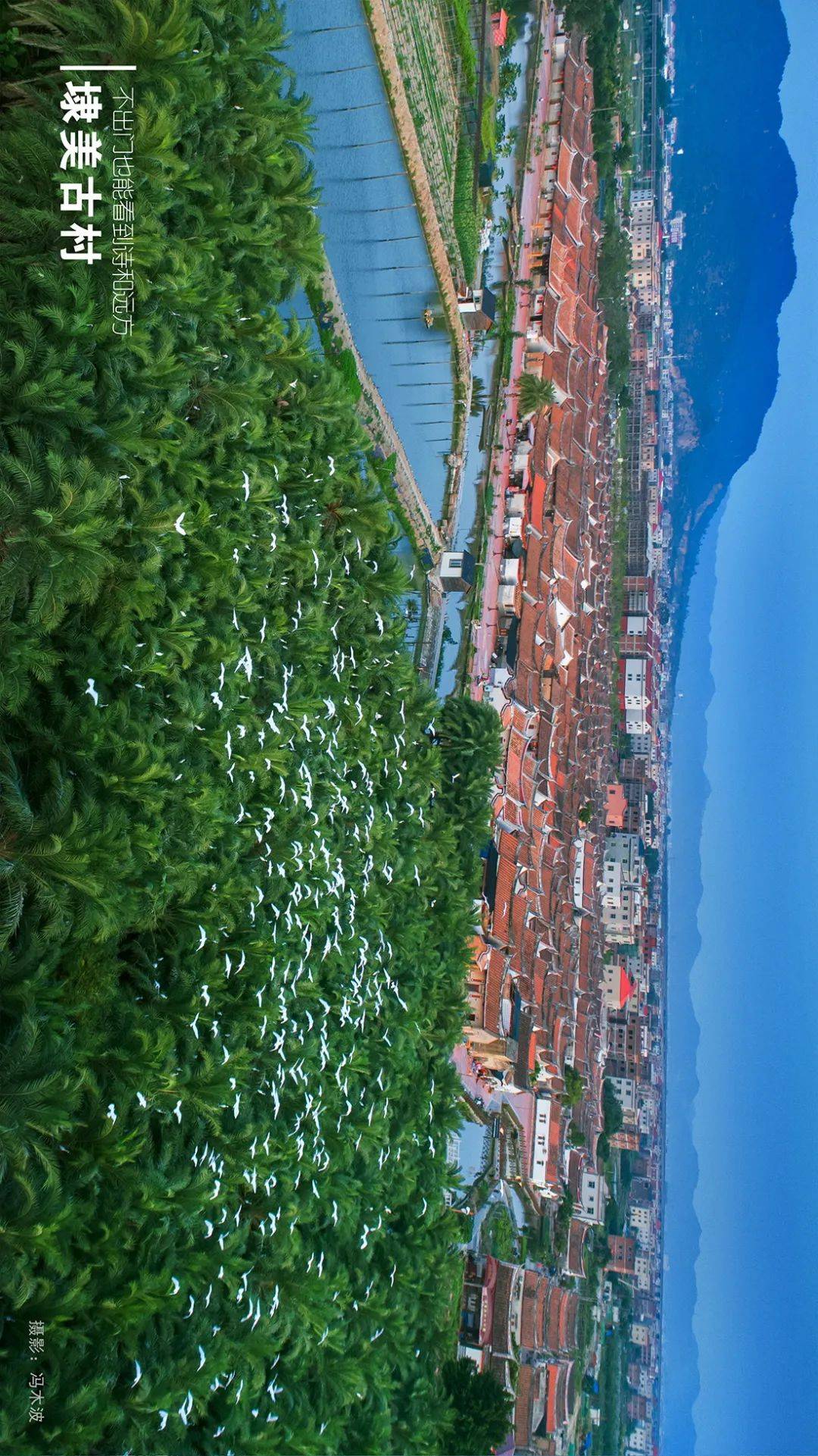 龙海邀您原地过年不出门也能拥有诗和远方