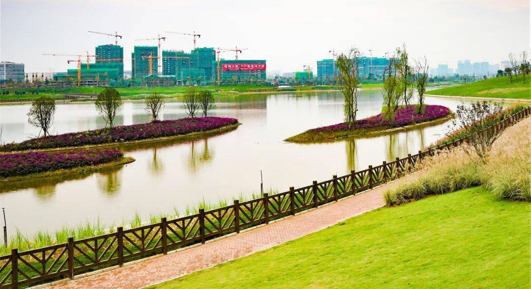 打造亲水长廊湿地公园内亭,台,榭,廊,桥环绕对游园步道进行了分色设置