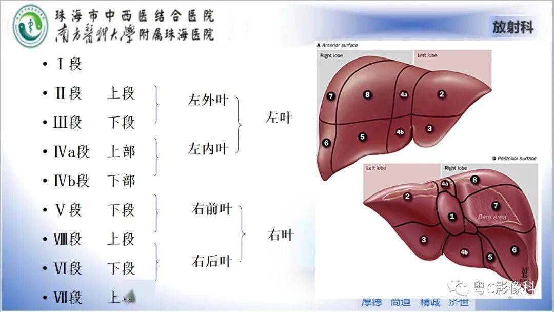 肝脏影像分段及肝硬化结节mri诊断