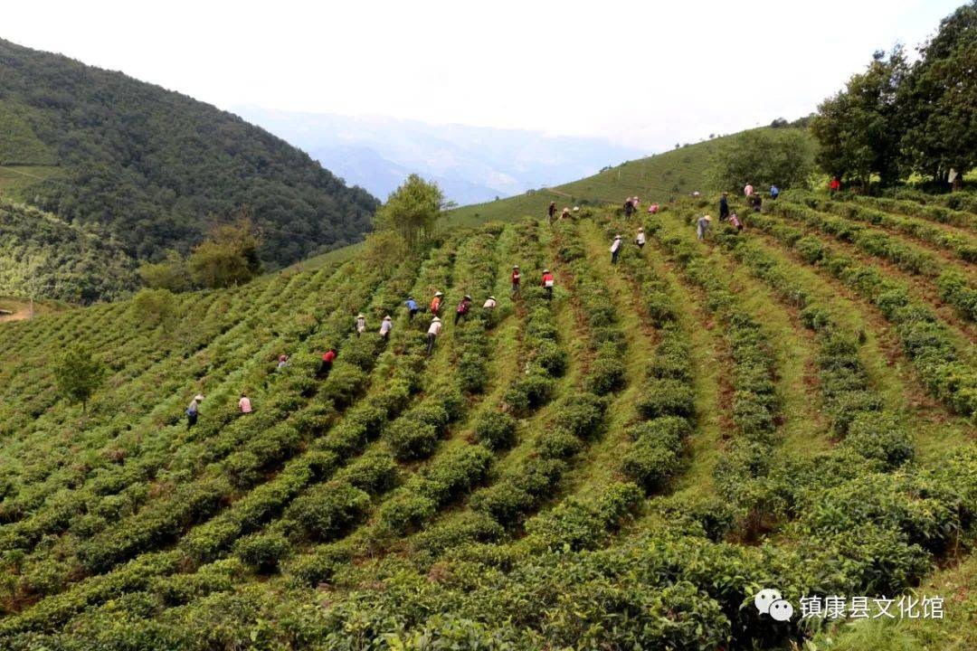 镇康县迎新春摄影,书画作品展之"寻找最美家乡"摄影篇(第一期)