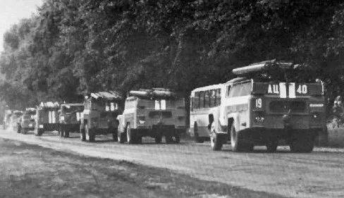車諾比核爆炸35年後，那裡的貓貓狗狗們怎麼樣了？ 萌趣萌寵 第12张