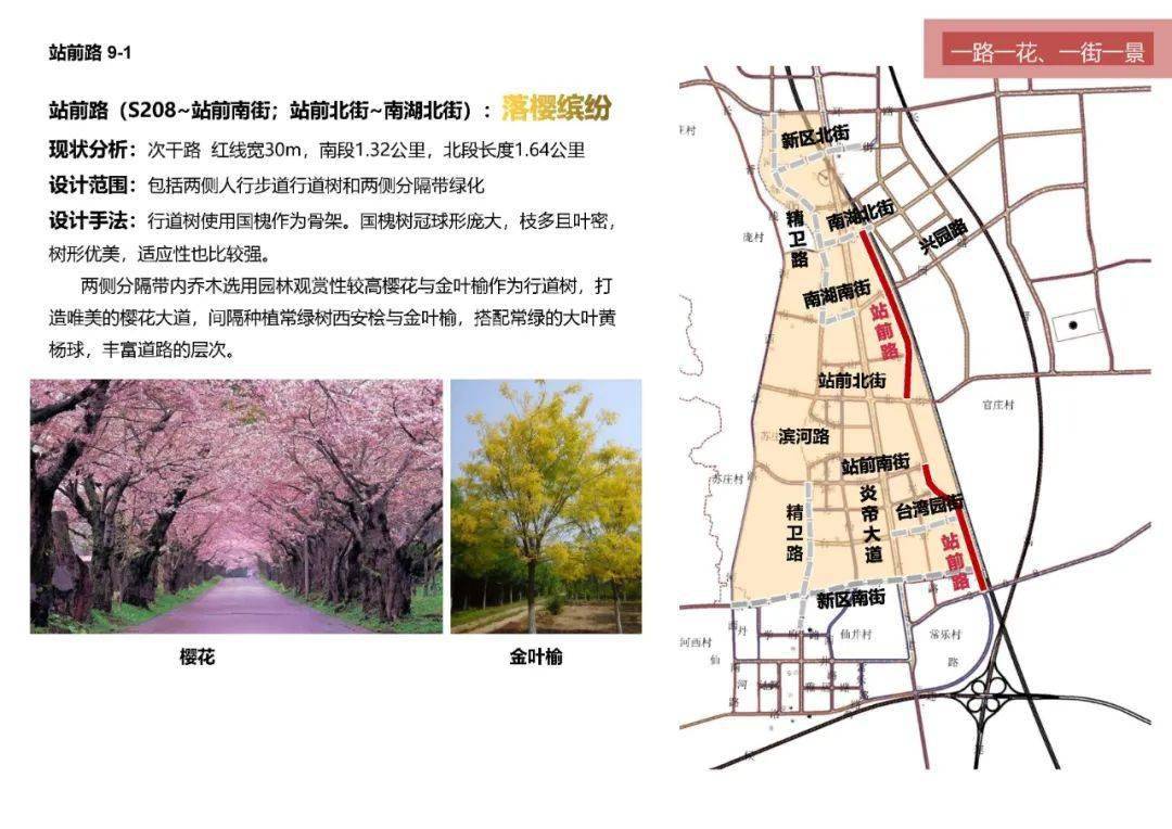 公示丨高平市高铁新区道路绿化设计方案出炉~征求您的意见建议
