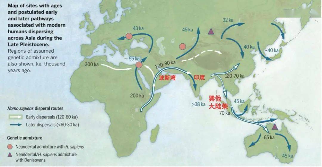 为什么早期人类要离开非洲大陆