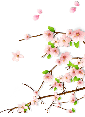 竹韵海外 情深已卜今生约 便引诗人踏雪寻 195 王硕