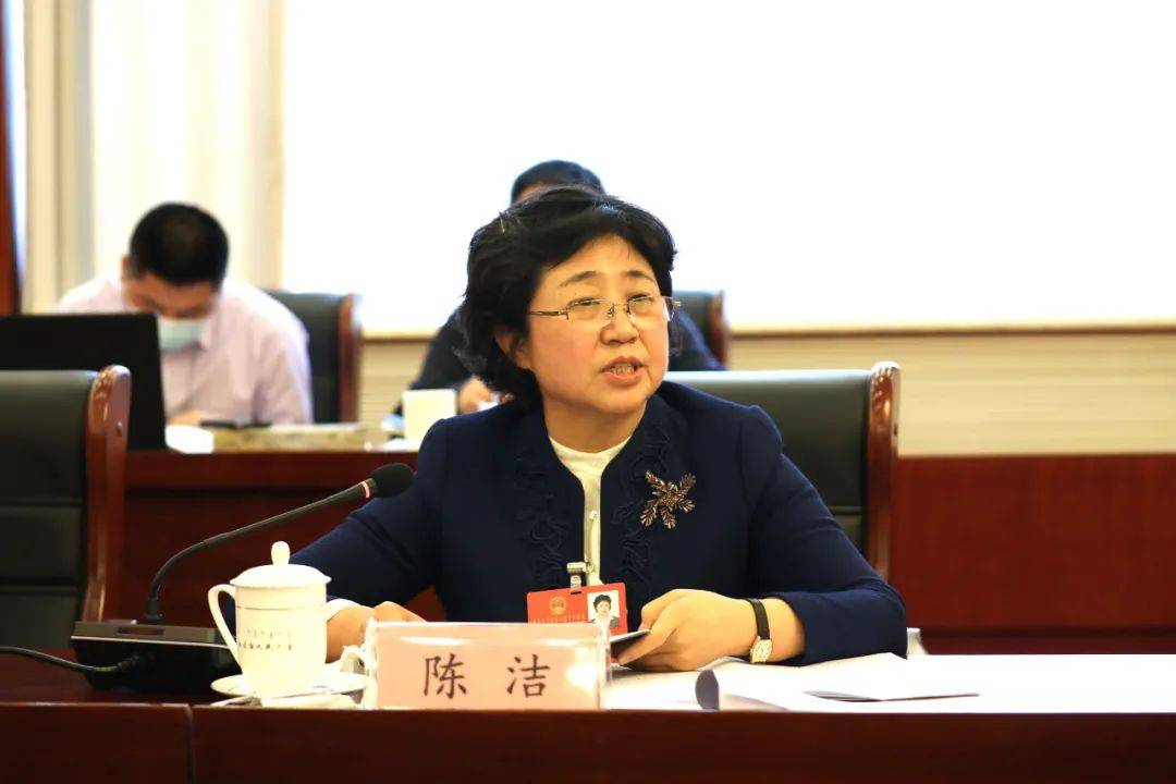 兴安盟代表团审议政府工作报告