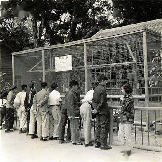 广州动物园这次真的要非搬不可了吗