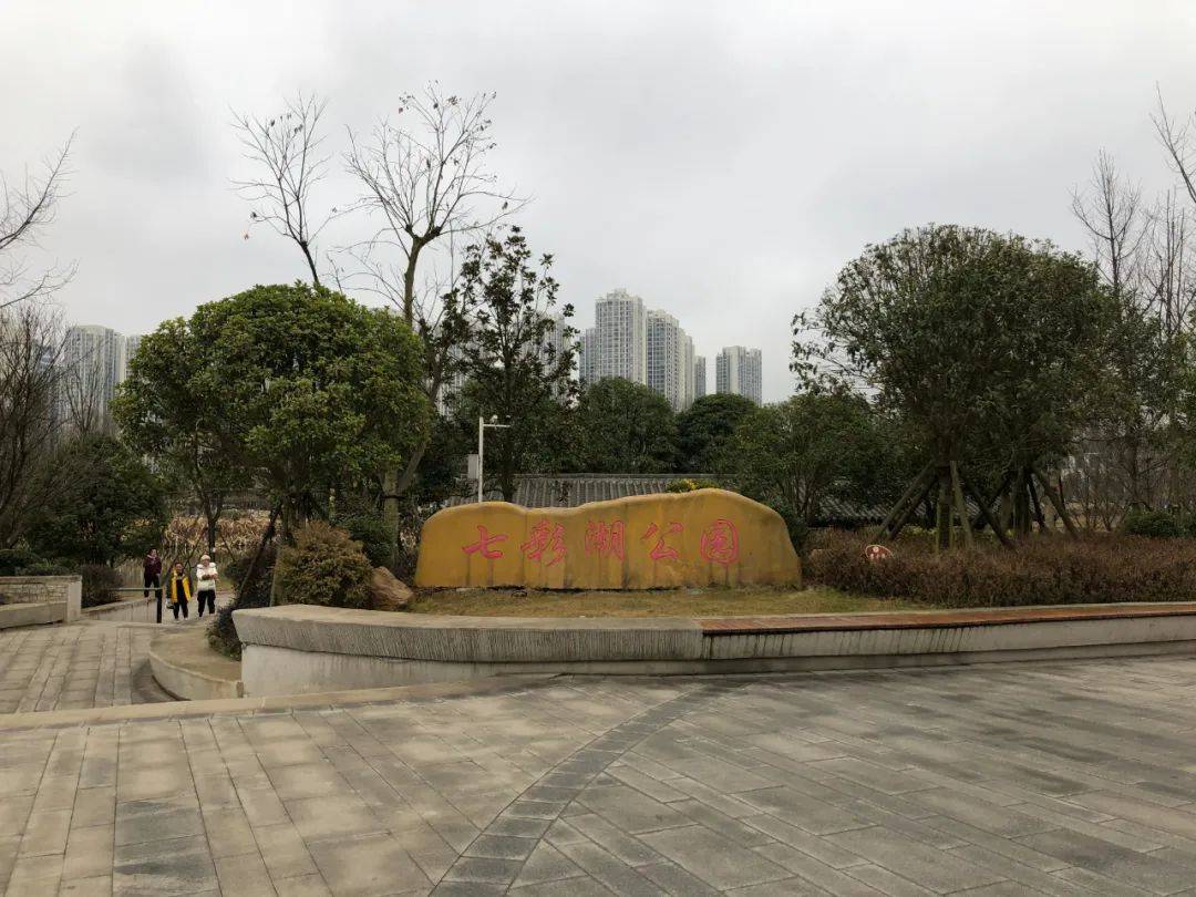 融媒问政 | 有污水排入七彩湖公园?