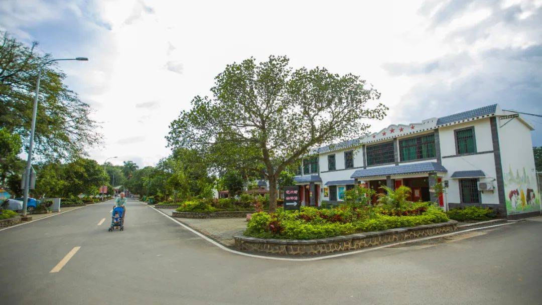 光明日报:来儋州石屋村,在"老先进"感受"新风采"!