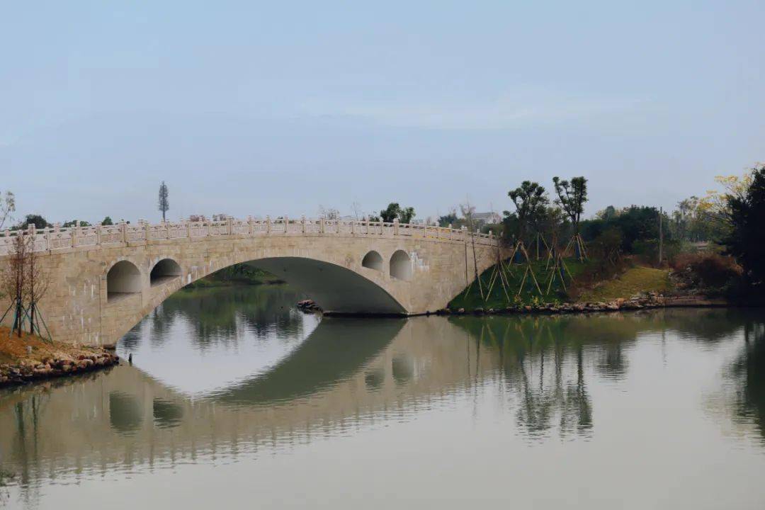 三垟的桥儿姿态多条条玉带映碧波