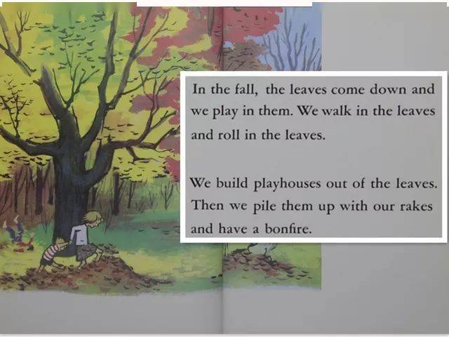 they make everything beautiful.trees make the woods