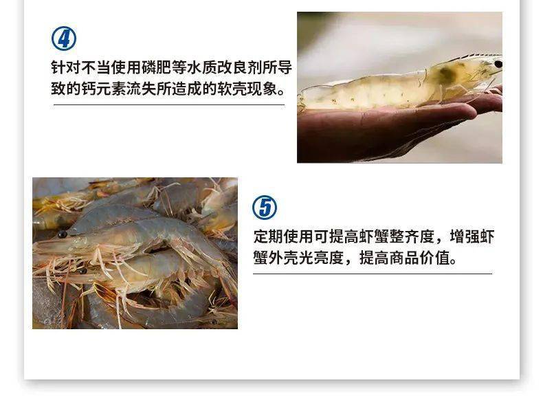 cbf08857a67a4fc1a5c1787a883cd5f1.jpeg