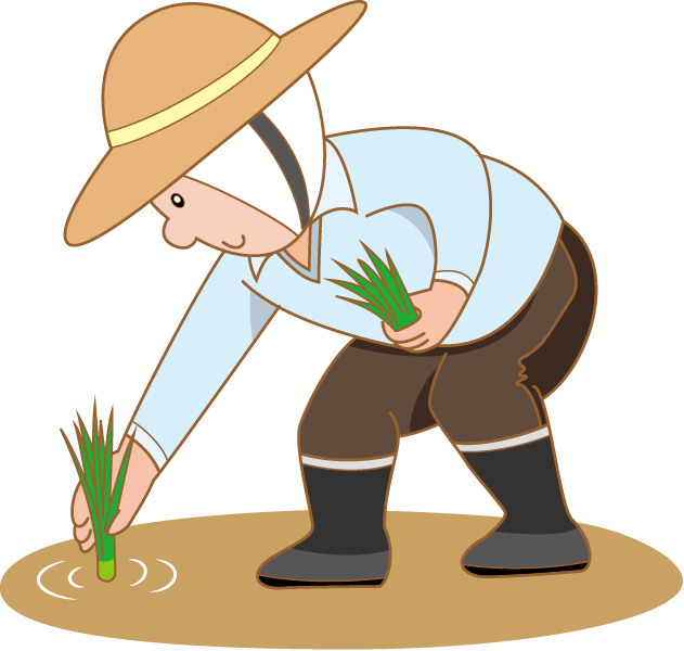 手中的菜篮子握得稳海口全力开展保供稳价工作