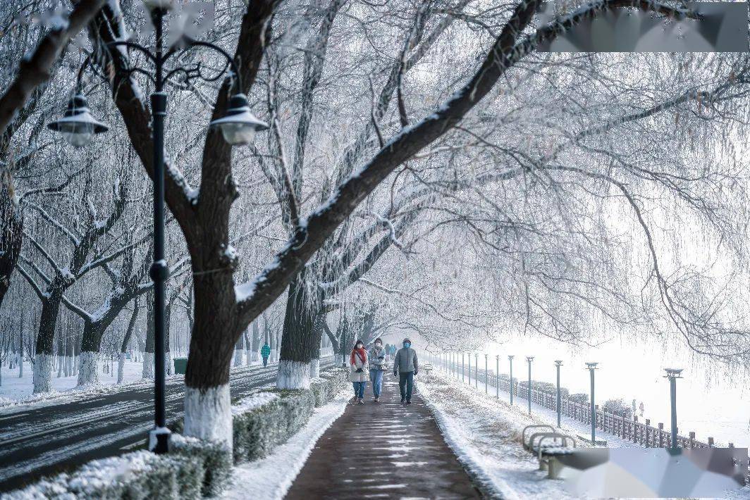1月26日,沈阳出现大雾天气,城市楼宇在浓雾中若隐若现.