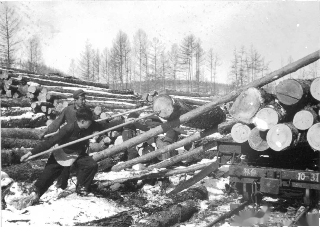 林区往事伐木