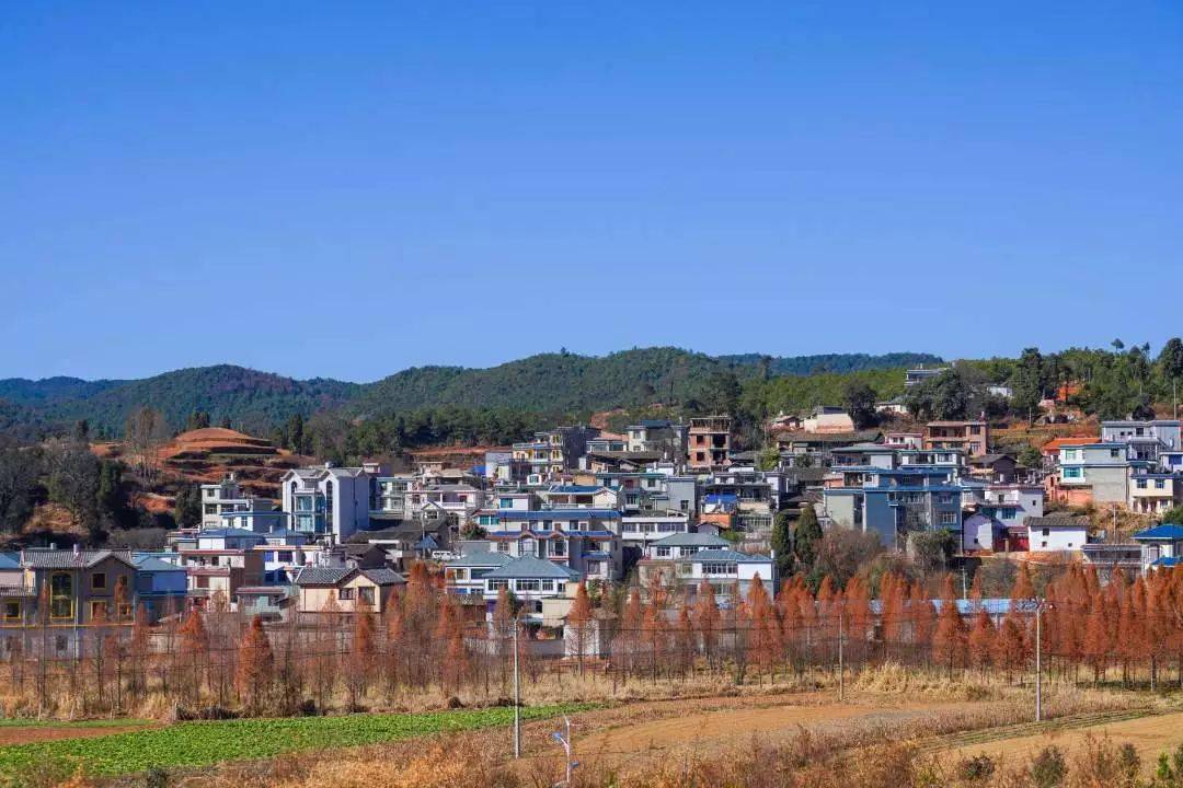 这十个乡村入围昆明"最美森林乡村!有你家乡吗?