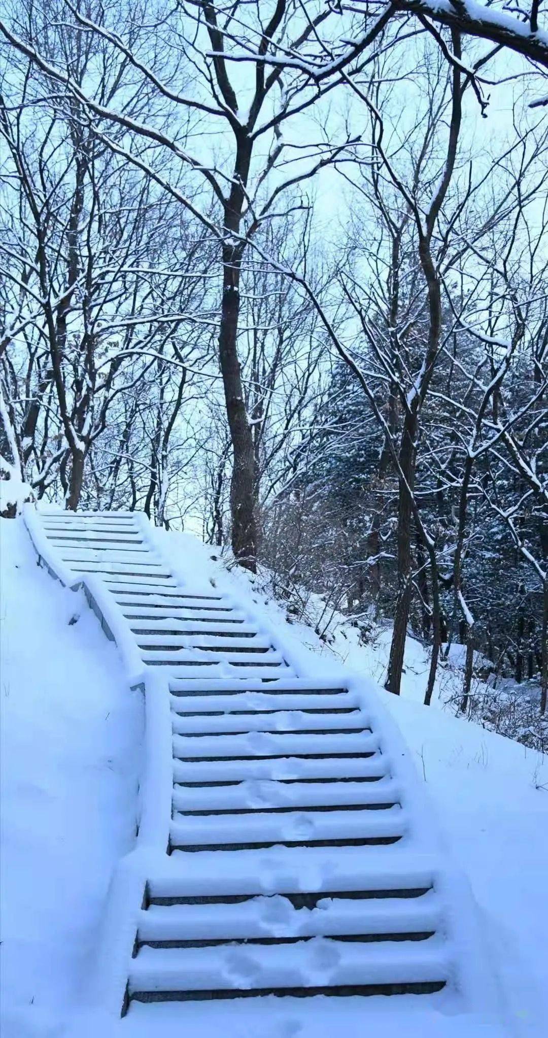 丹东雪景图片图片