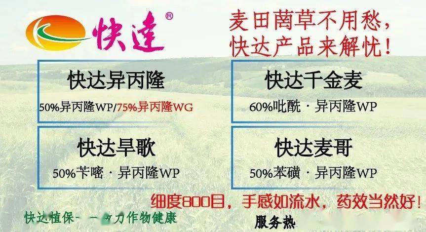 井水配药 药效减半 打农药7大禁忌 9成农民都在浪费药 效果