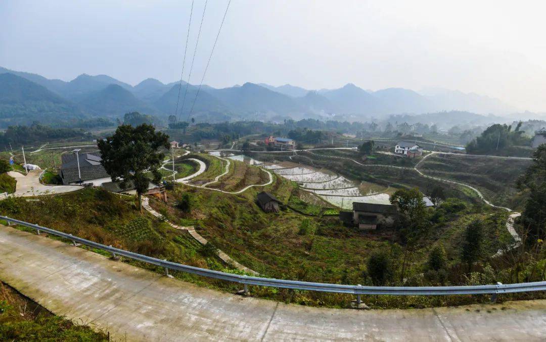 永川区临江镇天星村是市级发展滞后村,经过几年的努力,曾经经济发展