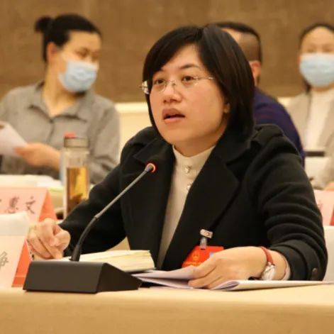 聚焦市两会市人大代表热议做强长江新区副城