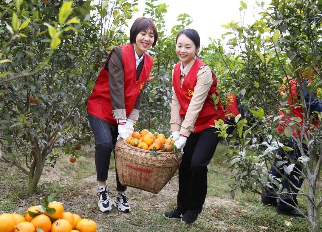 2021年钦州市区人口_钦州市区图片