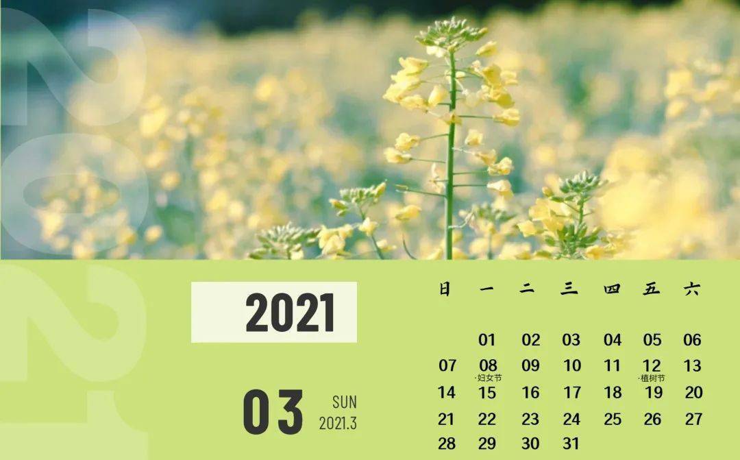 你的丽职2021日历上线啦