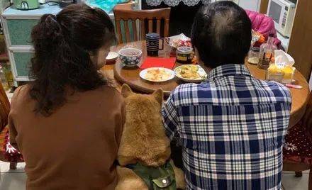父母和阿柴拍全家福叫網友來拍，他拍一半突然醒悟：我才是親生的啊！ 萌趣萌寵 第2张