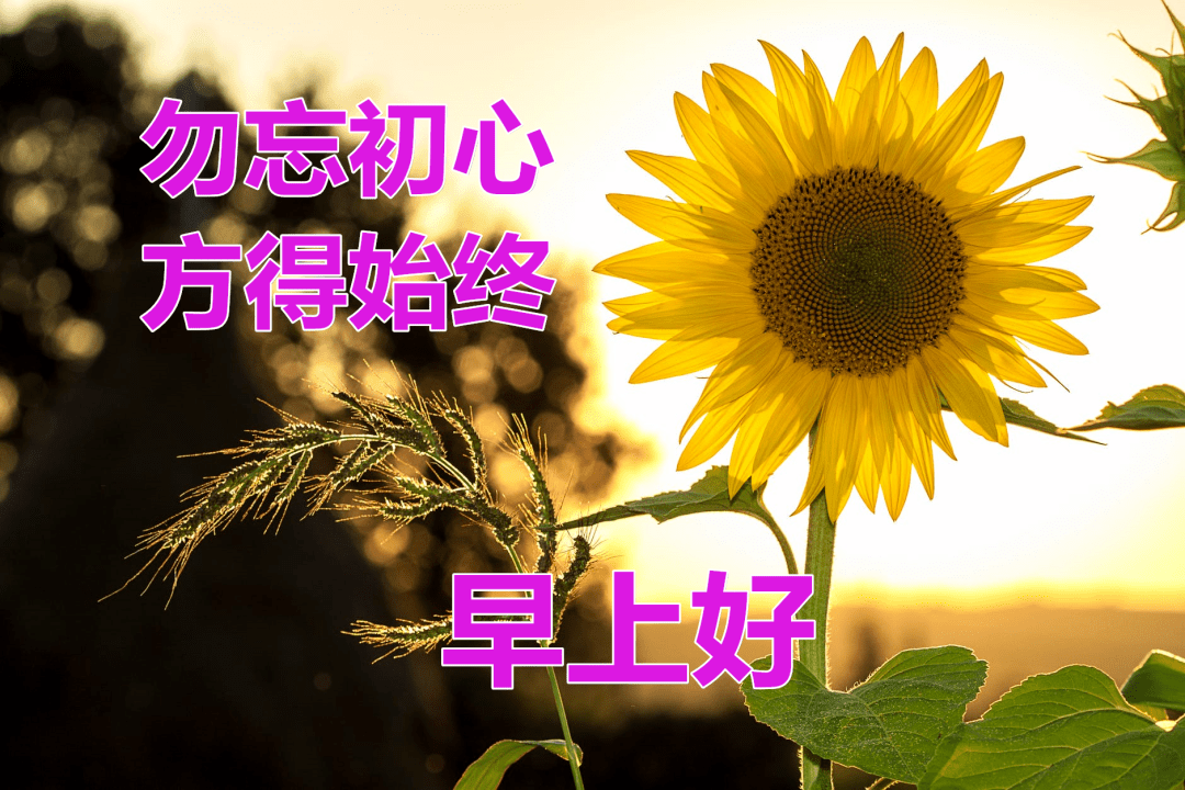 bff8e92c0741429b8c92c711a0cd3953.png