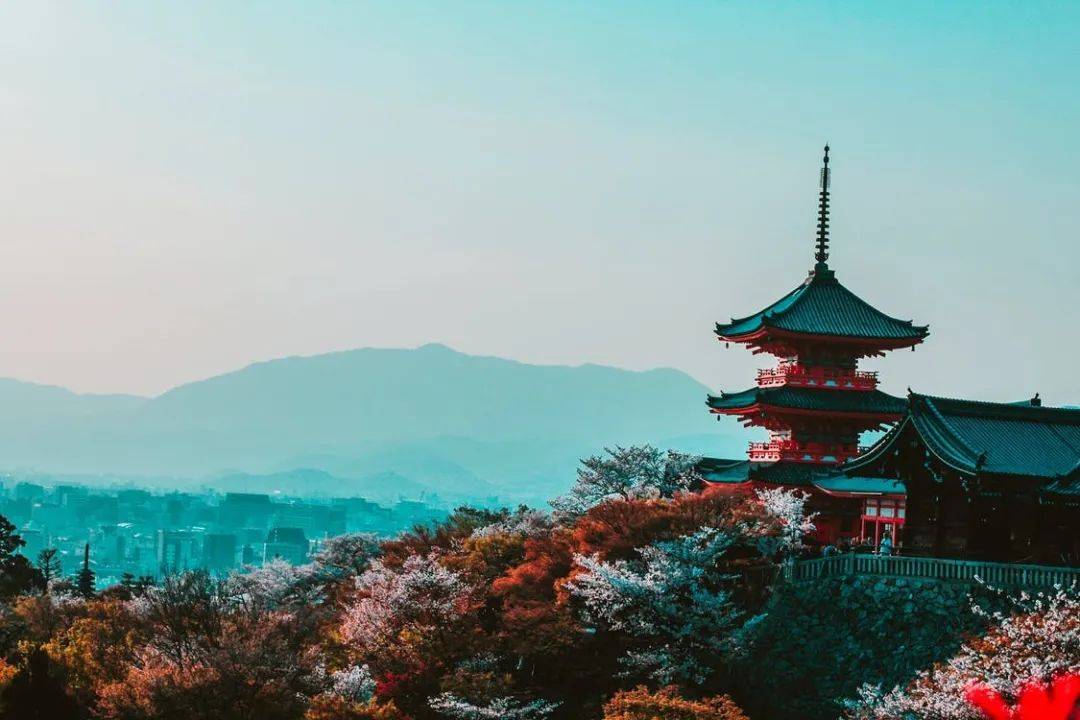 求大神指点 英语系国家毕业生 怎么拿英语成绩成功申到日本名校 毛同学 求大神指点 英语系国家毕业生 怎么拿英语成绩成功申到日本名校 毛同学