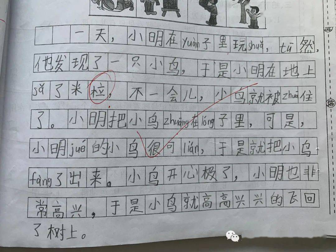 不负韶华砥砺行春华秋实满庭芳 二年级写话教学思考与实践 图片