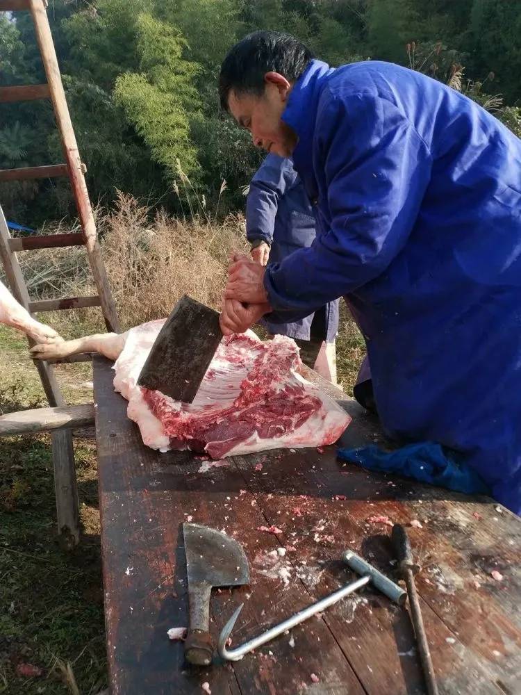 年猪撵至烧滚了水的土灶旁,捆住年猪的四肢,经验老到的杀猪匠慢慢下刀