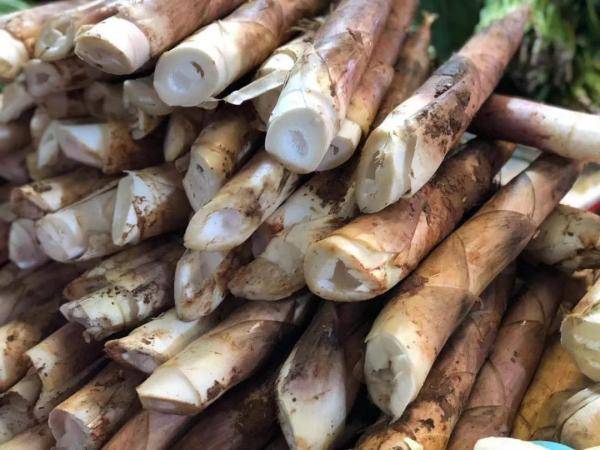 眼下,宁波本地雷笋价格比较实惠,而且又嫩又脆,到了品尝的佳季.