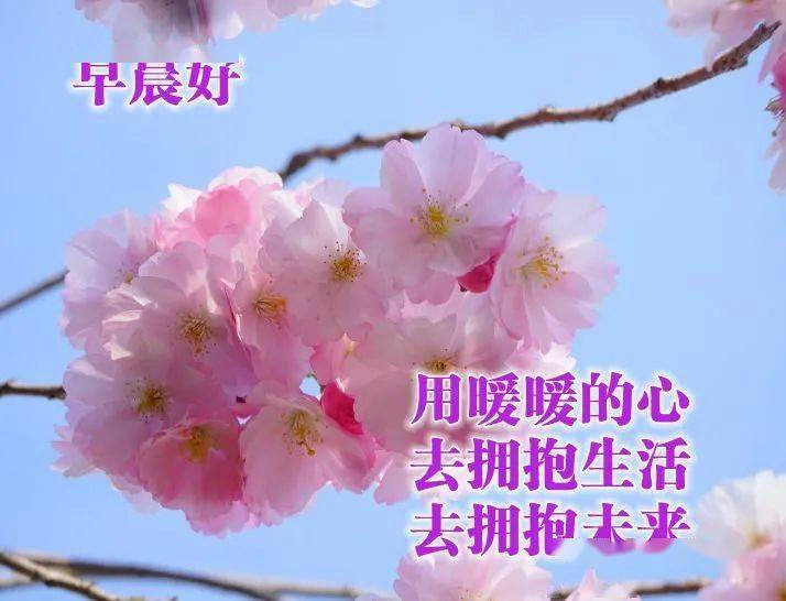 0781c8de322742c5a5bb81eb3dd29788.jpeg