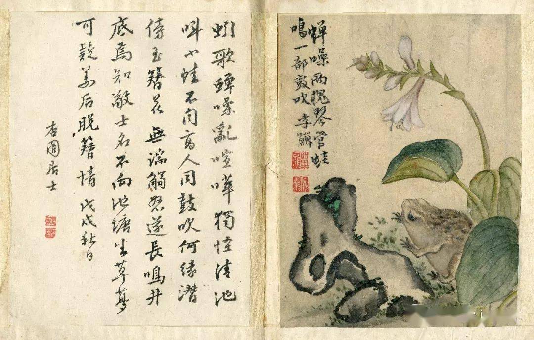 每日一画扬州八怪之一李鳝原裱花鸟册页高清版